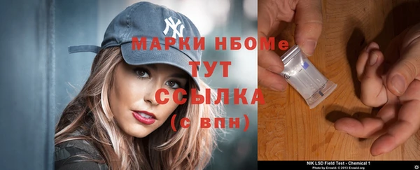 дмт Алзамай