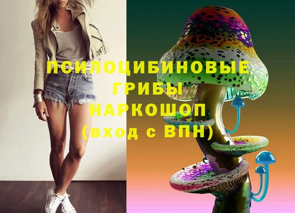 дмт Алзамай