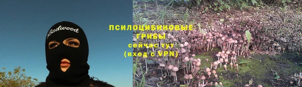 дмт Алзамай